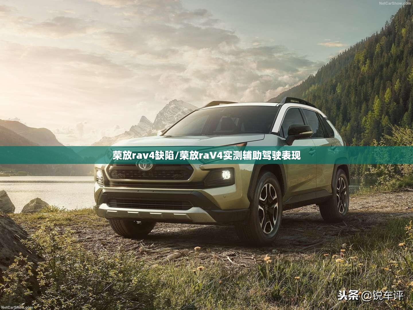 荣放rav4缺陷/荣放raV4实测辅助驾驶表现