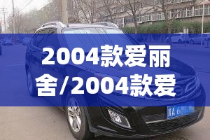 2004款爱丽舍/2004款爱丽舍有几个雨刷
