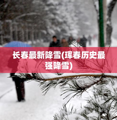 长春最新降雪(珲春历史最强降雪) 长春最新降雪(珲春历史最强降雪)