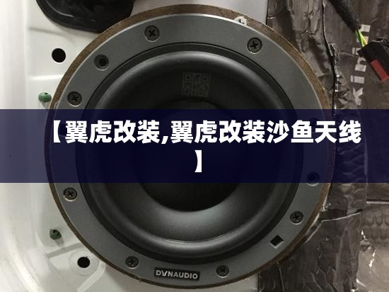 【翼虎改装,翼虎改装沙鱼天线】