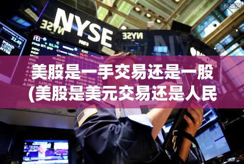 美股是一手交易还是一股(美股是美元交易还是人民币)