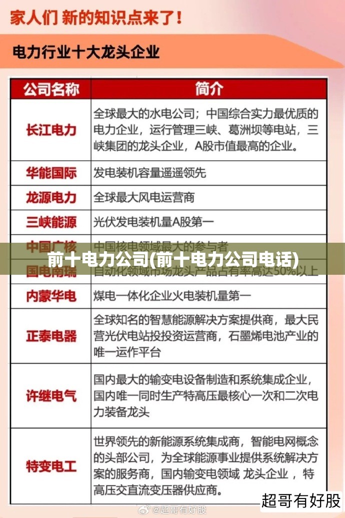 前十电力公司(前十电力公司电话)