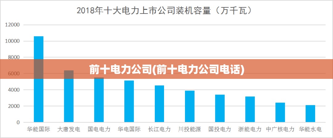 前十电力公司(前十电力公司电话)