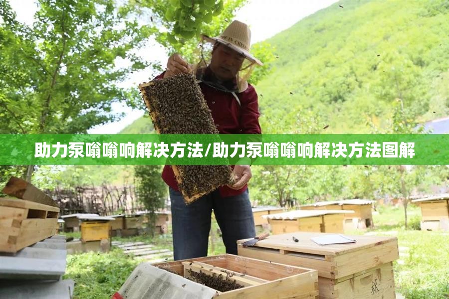 助力泵嗡嗡响解决方法/助力泵嗡嗡响解决方法图解 助力泵嗡嗡响解决方法/助力泵嗡嗡响解决方法图解
