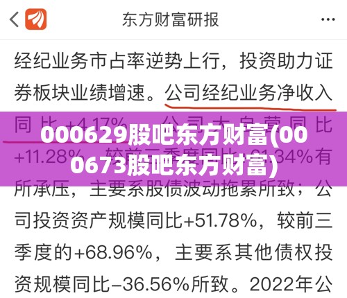 000629股吧东方财富(000673股吧东方财富)