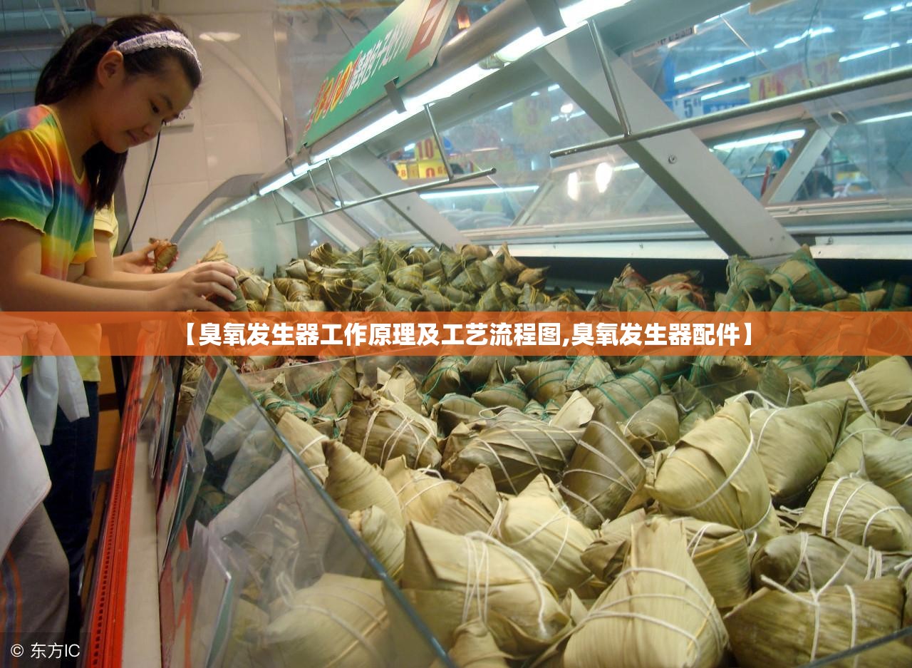 【臭氧发生器工作原理及工艺流程图,臭氧发生器配件】