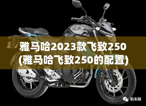 雅马哈2023款飞致250(雅马哈飞致250的配置) 雅马哈2023款飞致250(雅马哈飞致250的配置)
